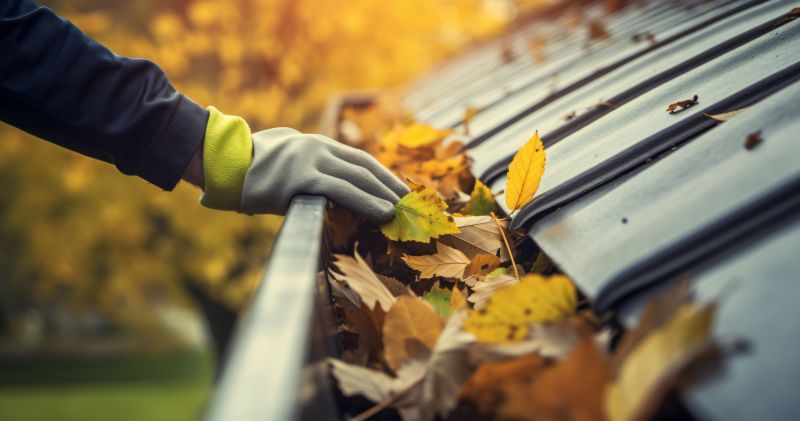 Gutter Service for Fall